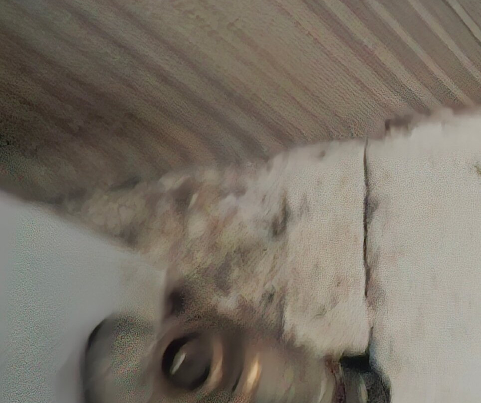 特里维尔斯公园酒店主图