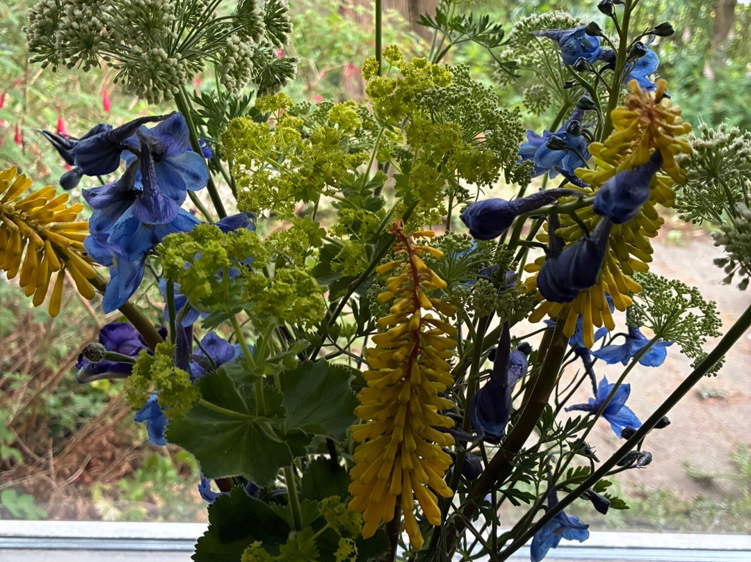 Snijbloemen Pluktuin Bakkum-Egmond-Binnen必去景点