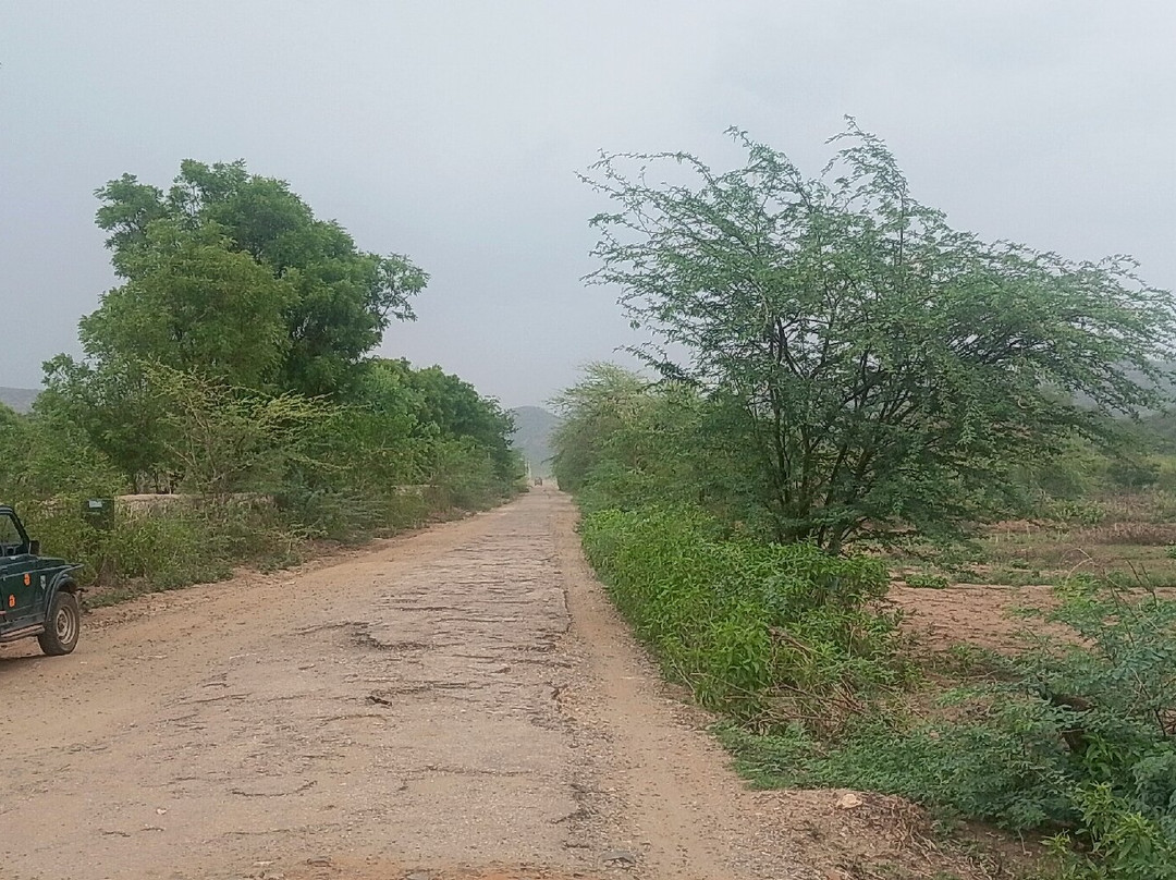 Sariska Tiger Reserve-阿尔瓦必去景点