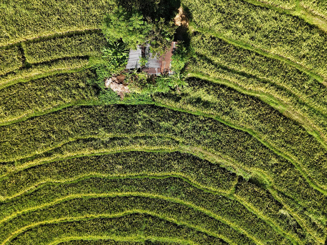 Trekking Candidasa-甘地达萨必去景点