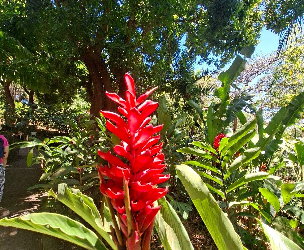 Jardin Botanique de Deshaies-Deshaies必去景点