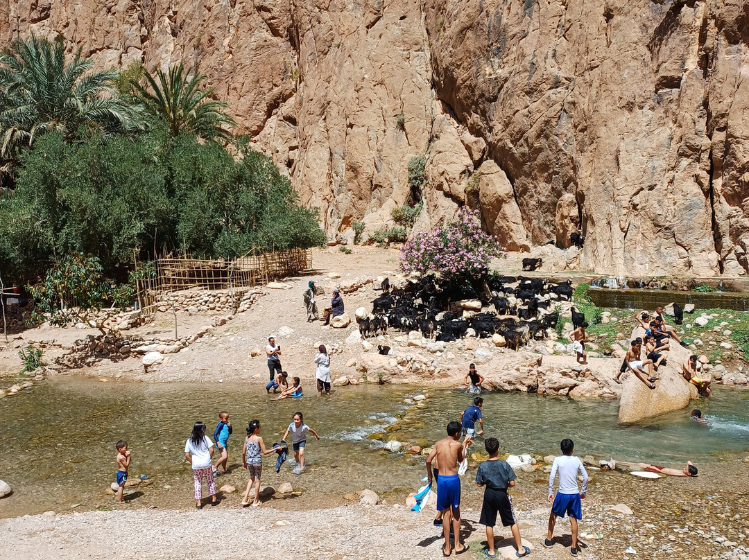 Morocco Shining Tours-非斯必去景点