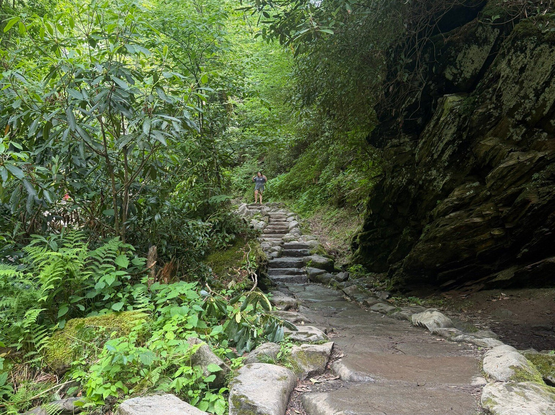 Grotto Falls Trail-大雾山国家公园必去景点