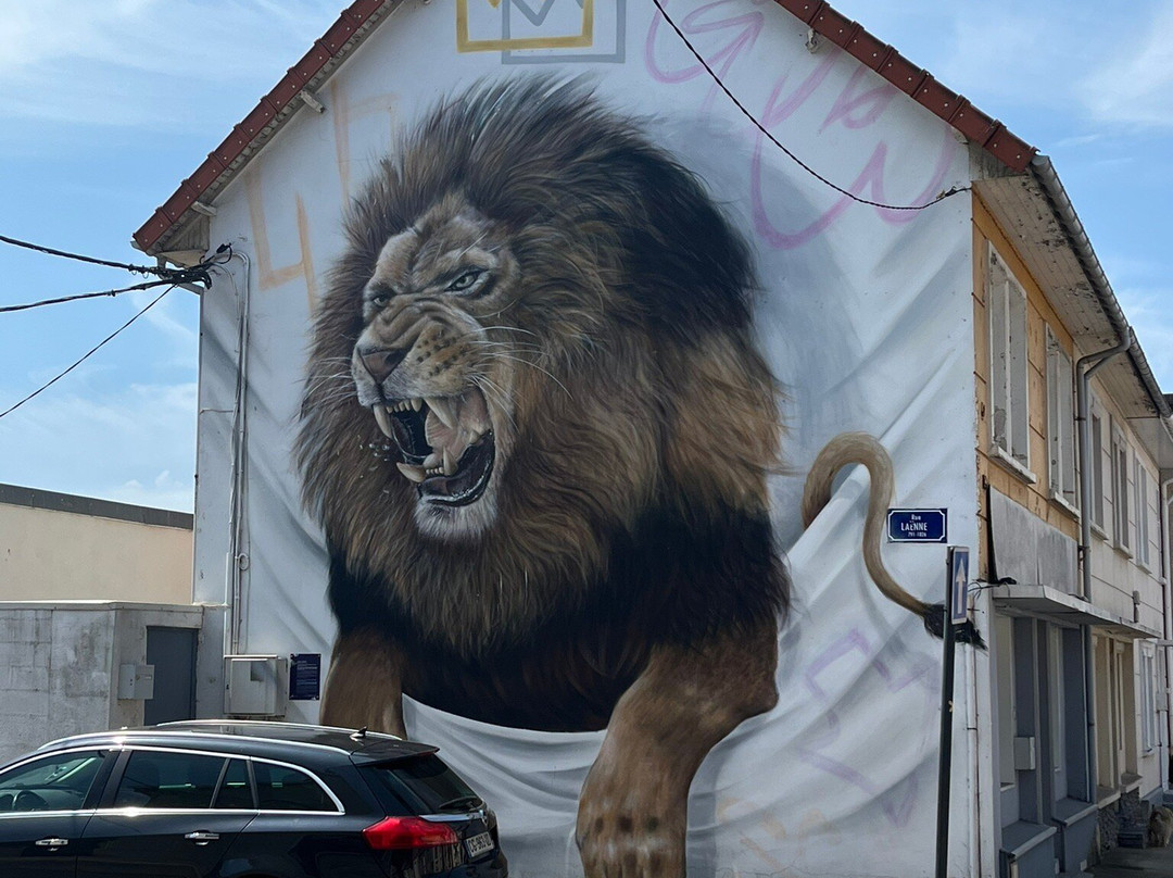 Visites Guidée Street Art-滨海布洛涅必去景点