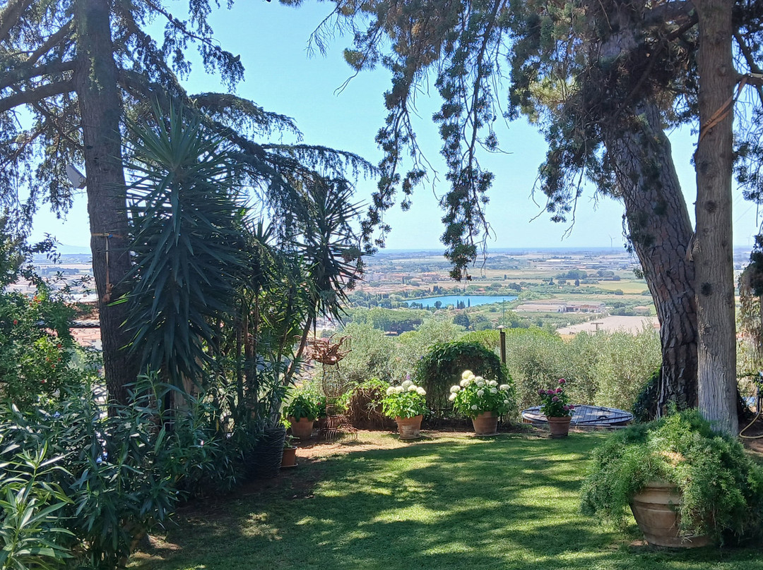 B&B Villa il Poggetto主图