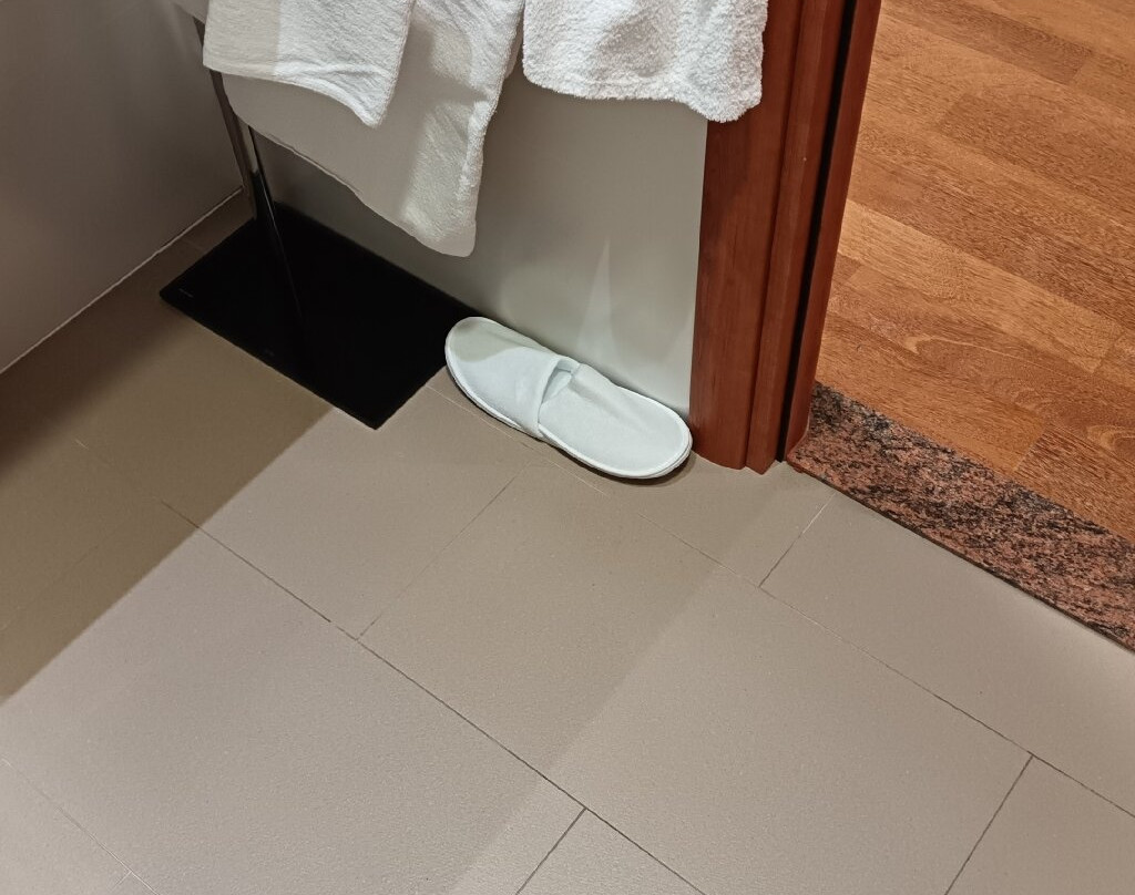 莫妮卡酒店主图