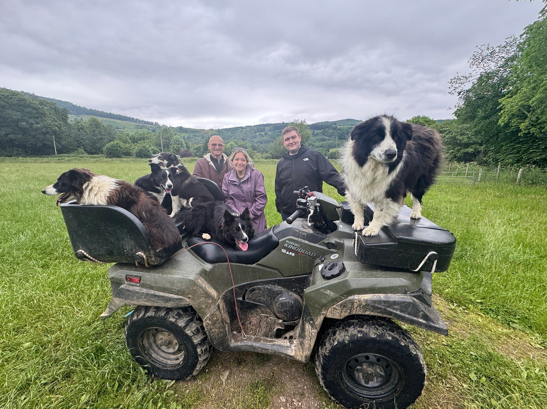 Lurgan Farm-Aberfeldy必去景点