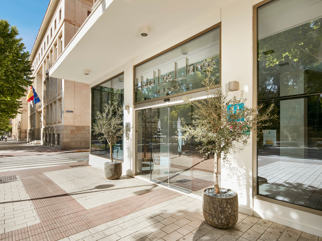 阿尔瓦塞特酒店住宿-Sercotel Los Llanos