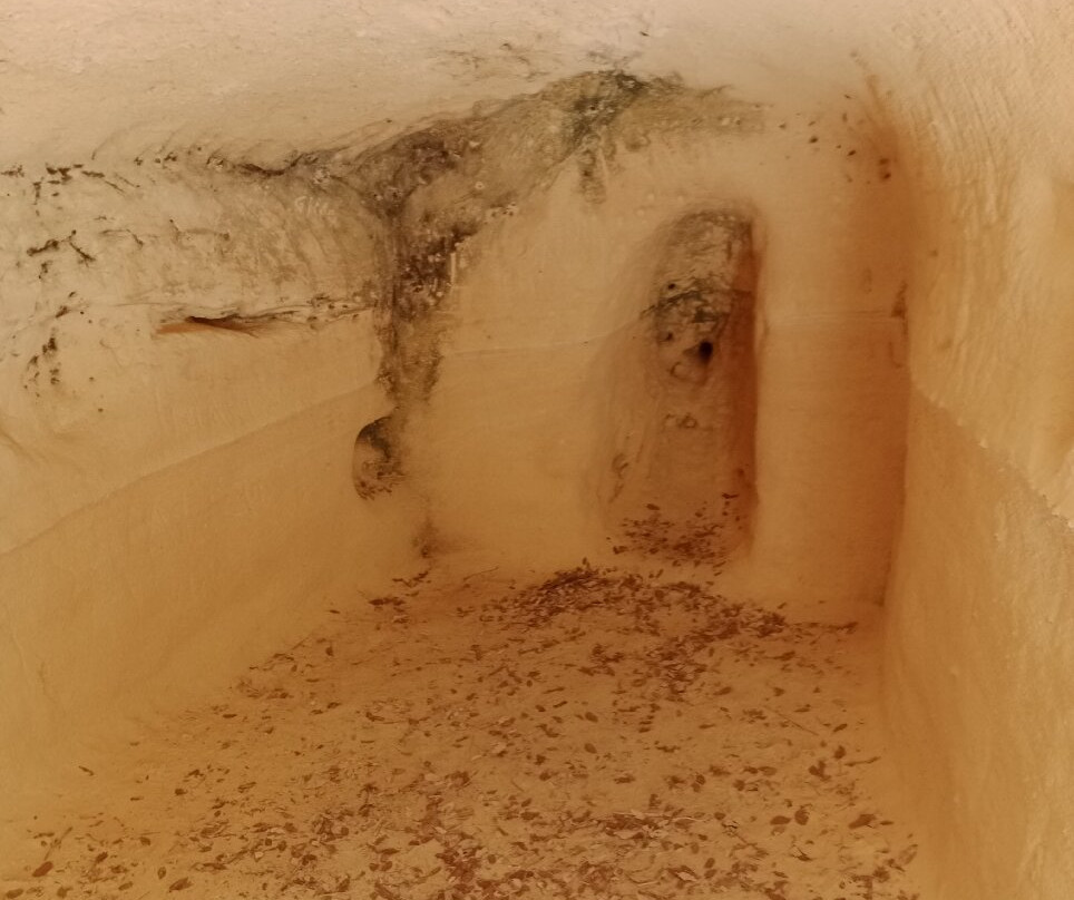 Grotte Gialle-Bibbona必去景点