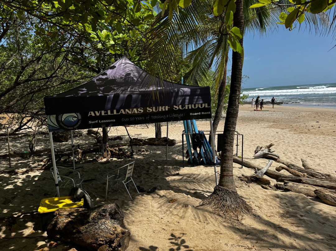 Avellanas Surf School-Playa Avellanas必去景点