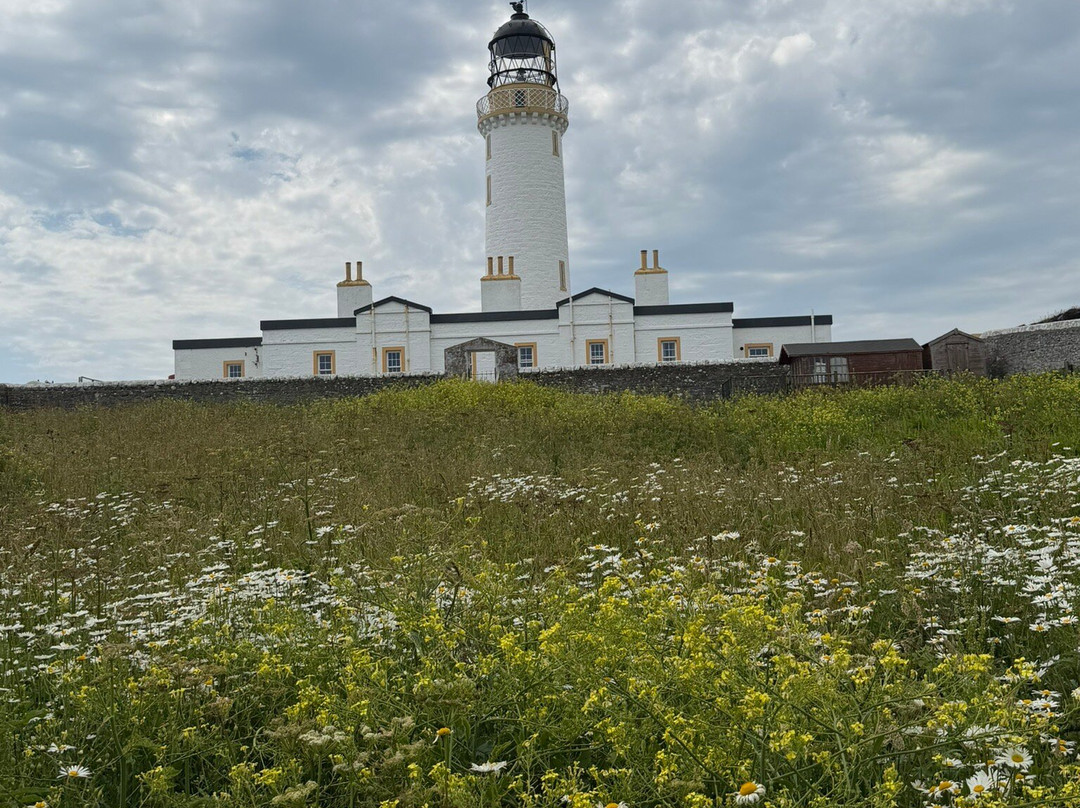 RSPB Mull of Galloway-Stranraer必去景点