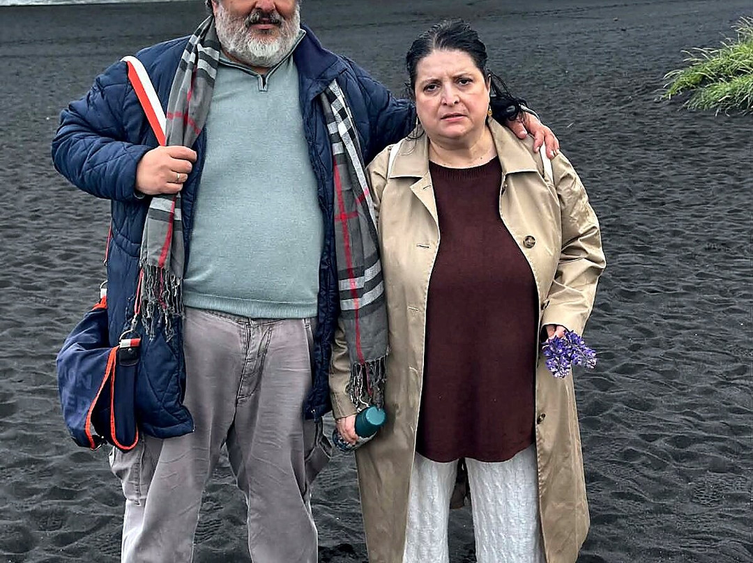 Reynisfjara Beach-维克必去景点