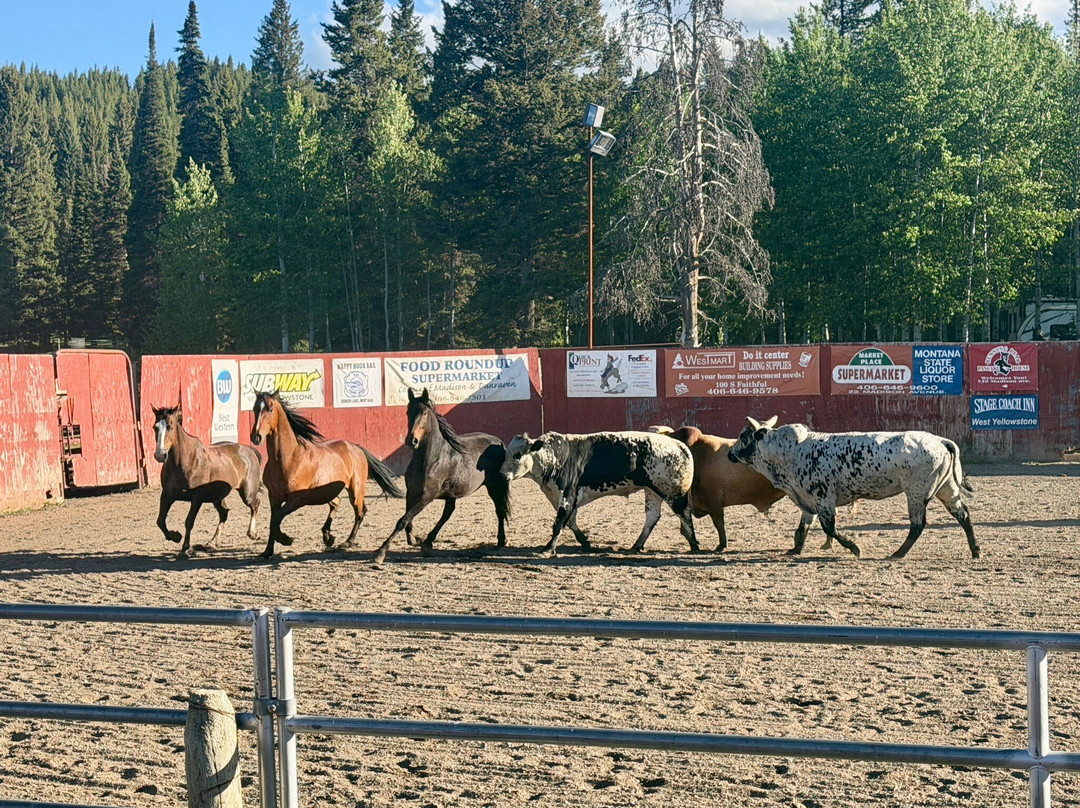 Wild West Yellowstone Rodeo-西黄石镇必去景点