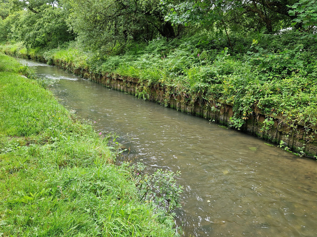 King's Wood-Pentewan必去景点