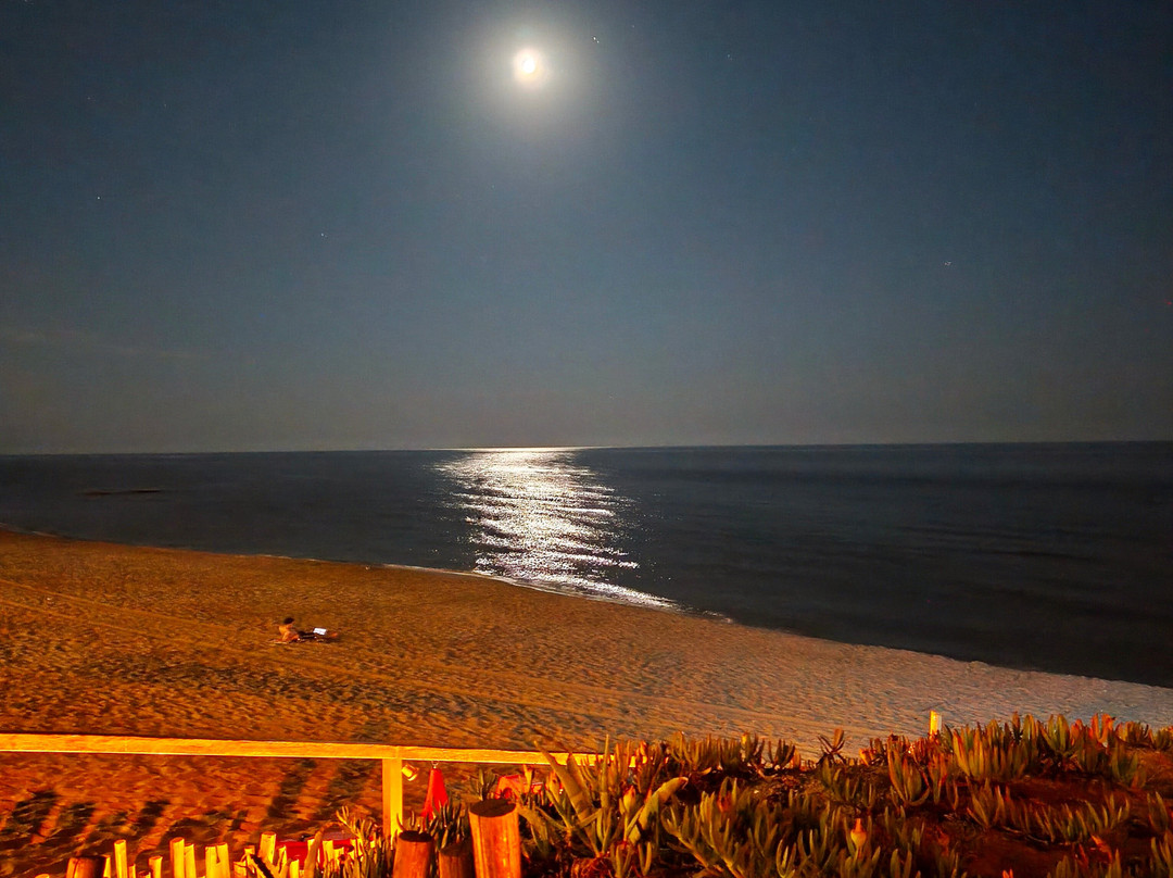 Lungomare delle Sirene-Torvaianica必去景点