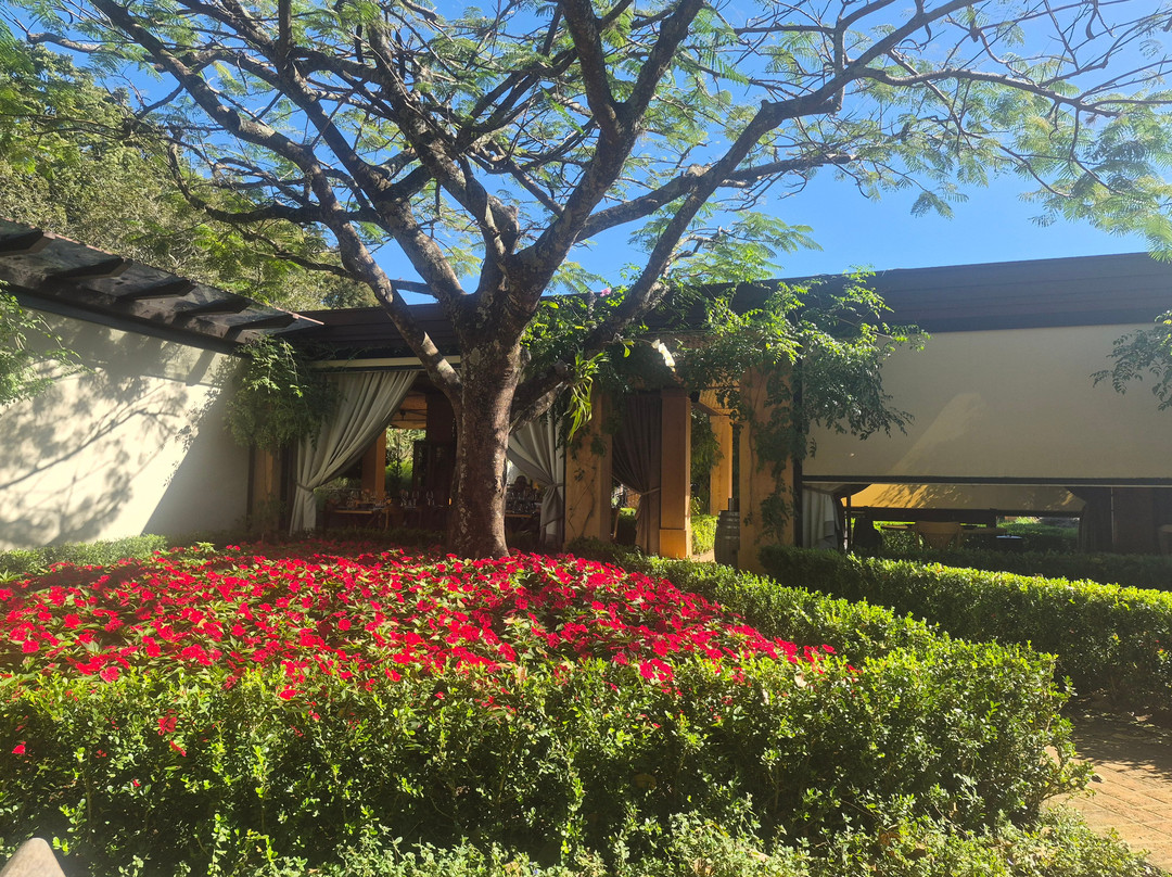 Vinícola Guaspari-Espirito Santo Do Pinhal必去景点