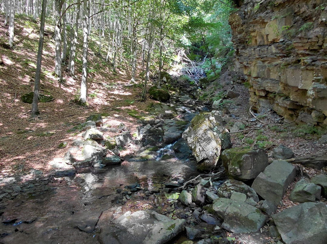 Cascate del Dardagna-Lizzano in Belvedere必去景点