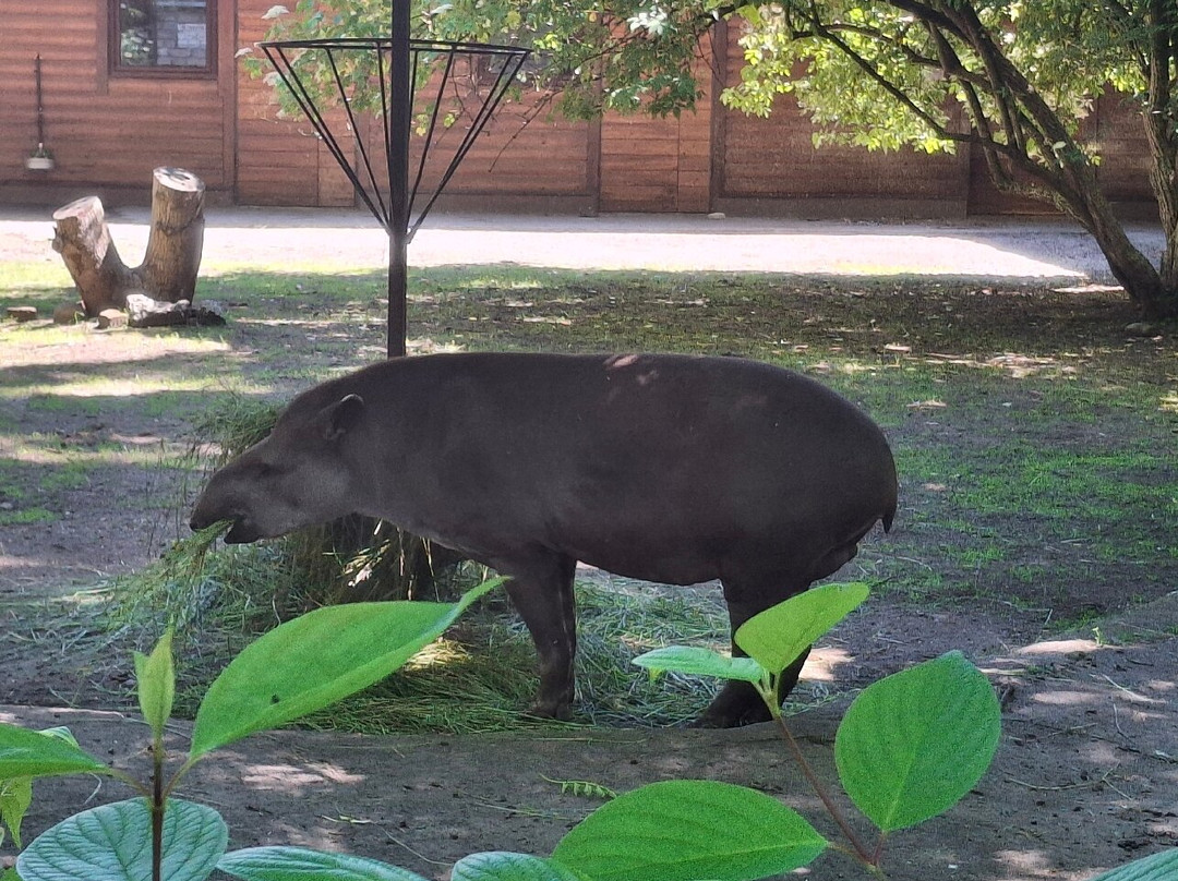 Kaliningrad Zoopark-加里宁格勒必去景点