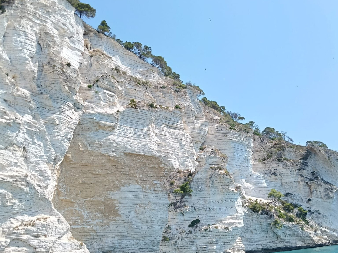 Costante Nicola Agenzia Tour Delle Grotte-佩斯基奇必去景点