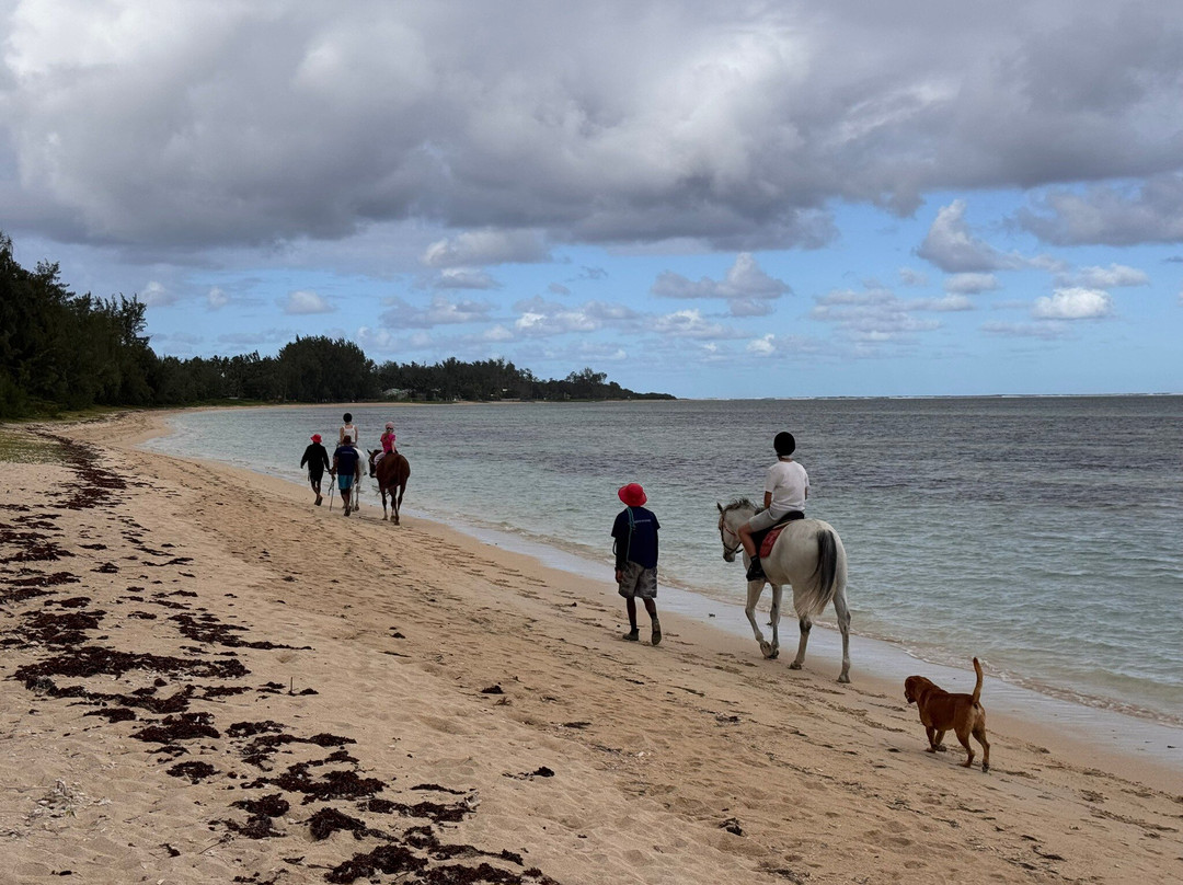 HORSE RIDING RIAMBEL- Centre Equestre De Riambel-Riambel必去景点