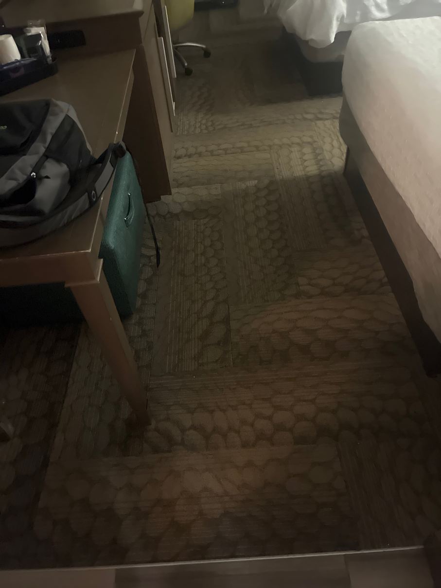 希尔顿欢朋酒店-迪克森-旅行者