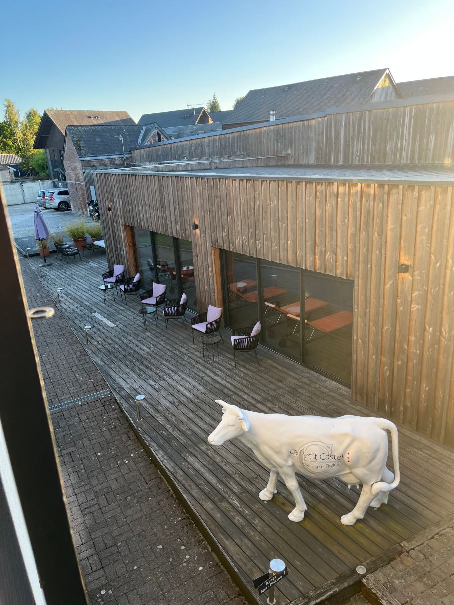 酒店SPA Piscine le Petit Castel-旅行者