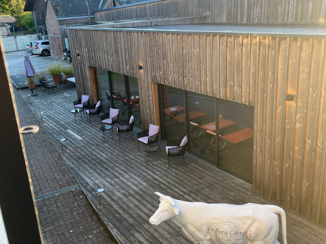酒店SPA Piscine le Petit Castel主图