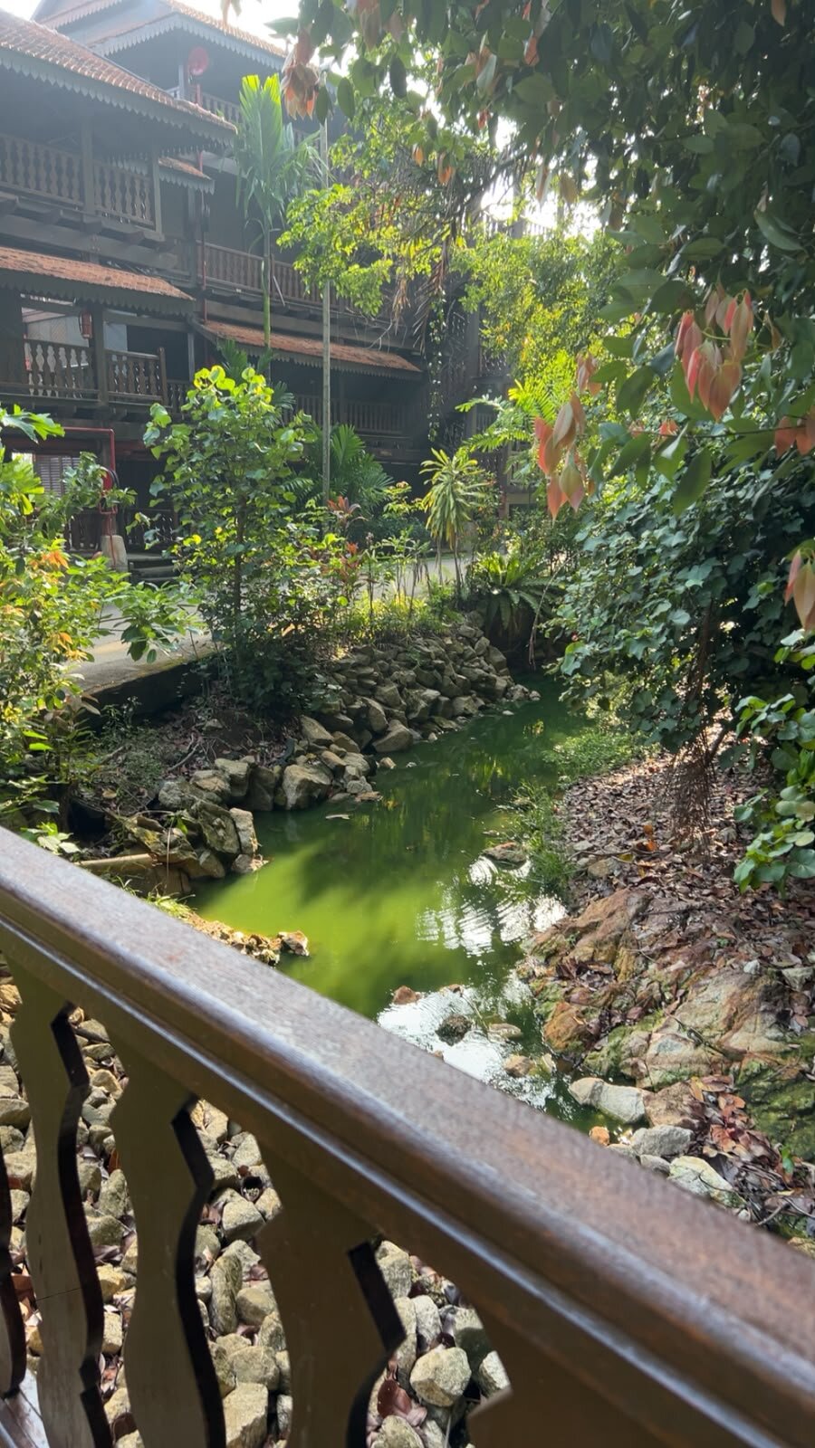 Club Med珍拉丁湾度假村-旅行者