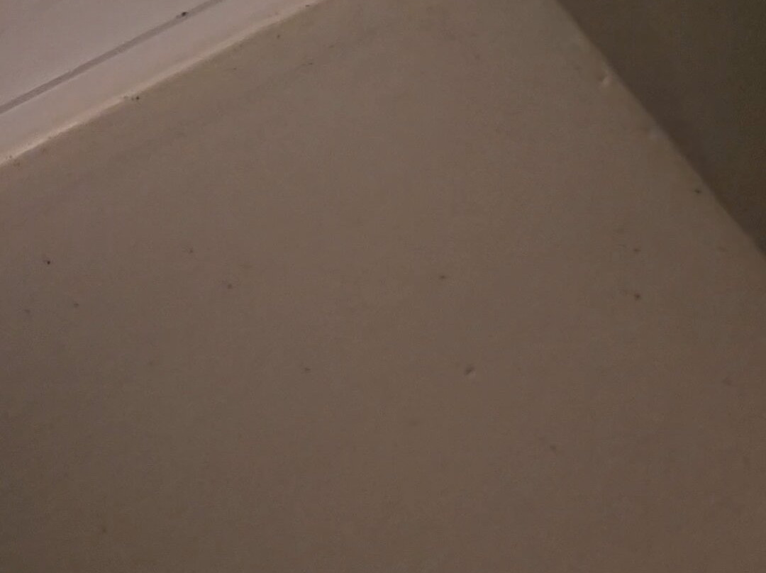 克莱门森湖畔旅馆主图