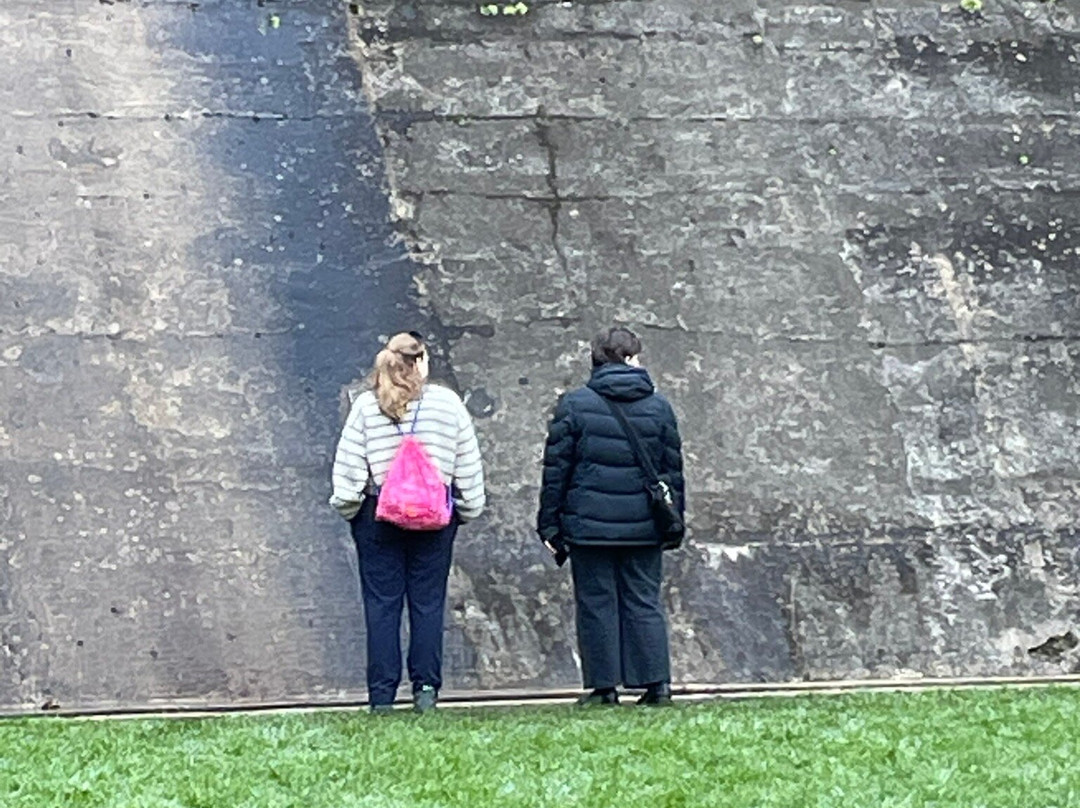 Maroondah Reservoir Park-希尔斯维尔必去景点