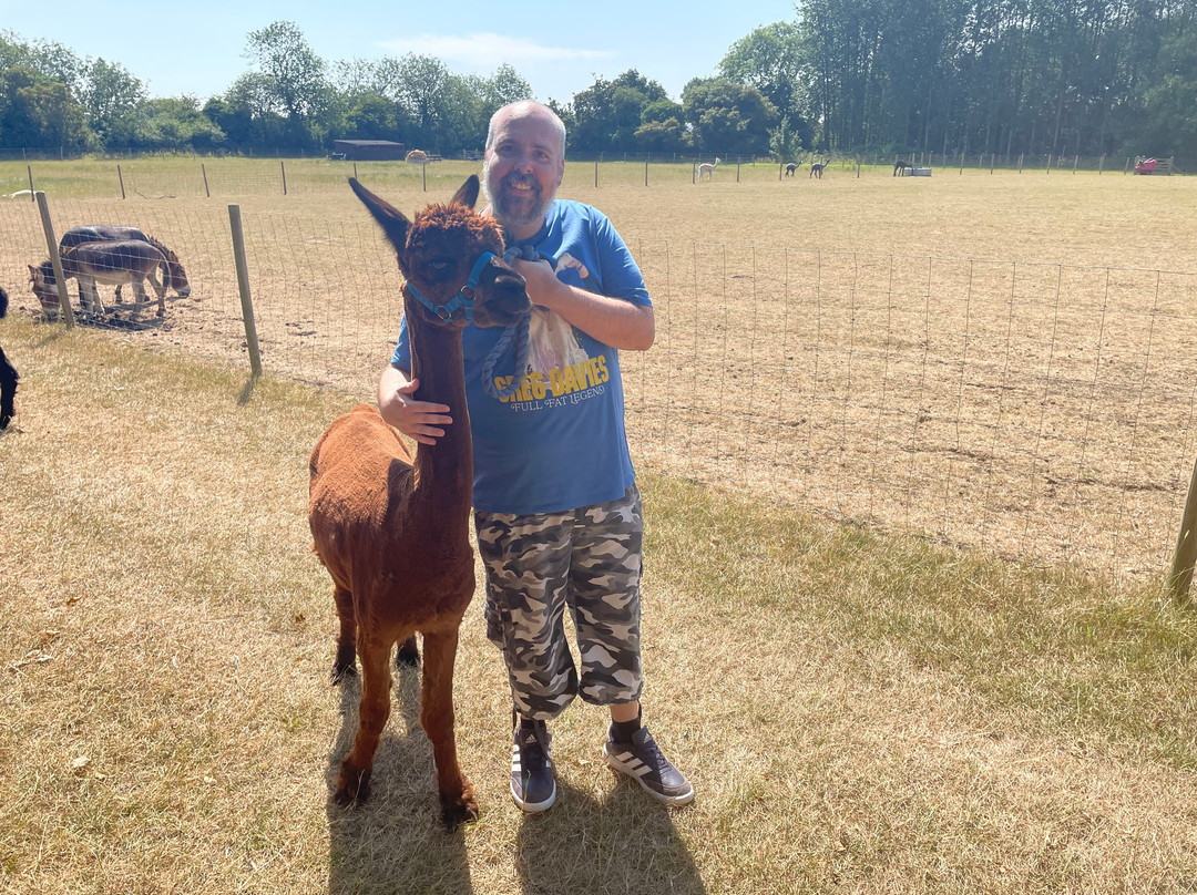 Big Sky Alpacas-Alford必去景点