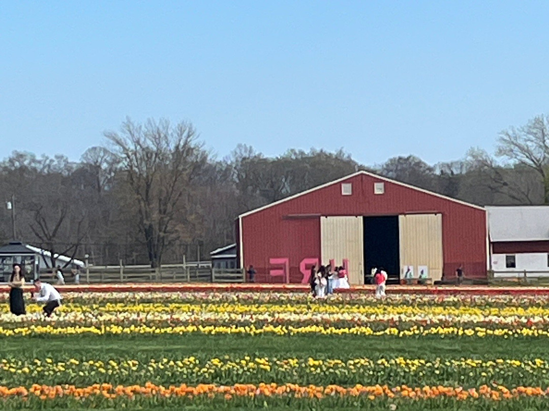 Holland Ridge Farms-Imlaystown必去景点
