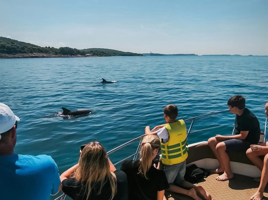 Dolphin Tours Istria-冯塔纳必去景点