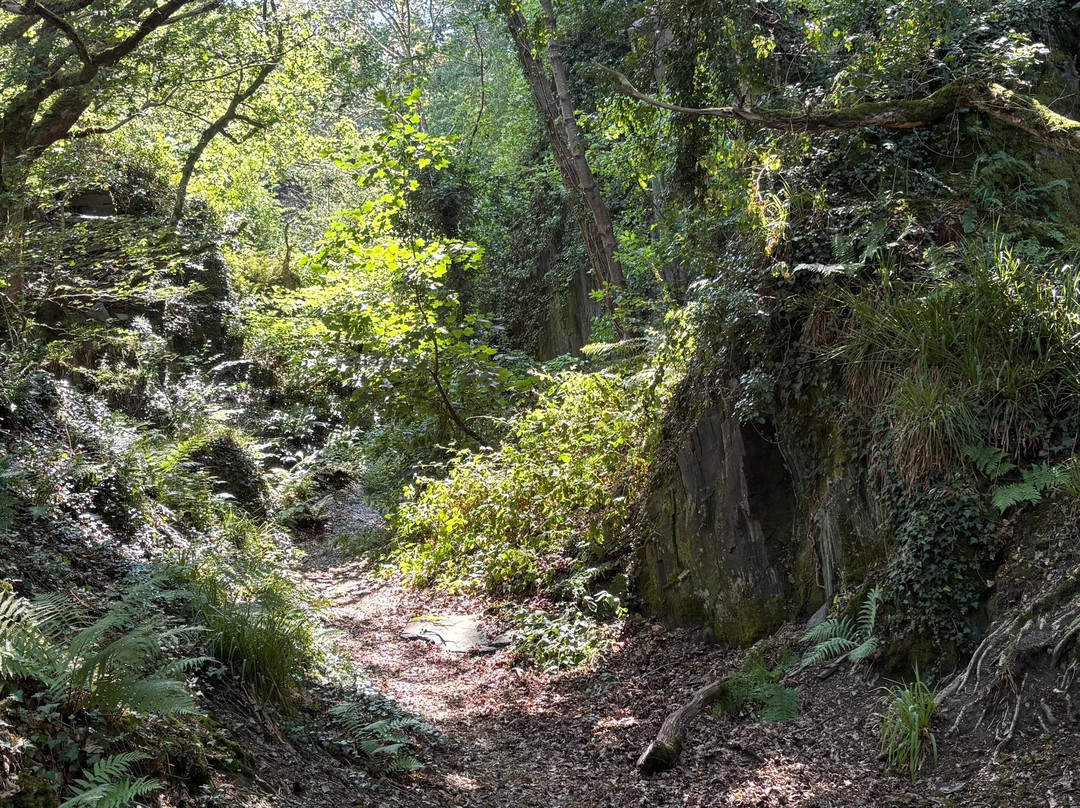 Welsh Wildlife Centre-Cardigan必去景点