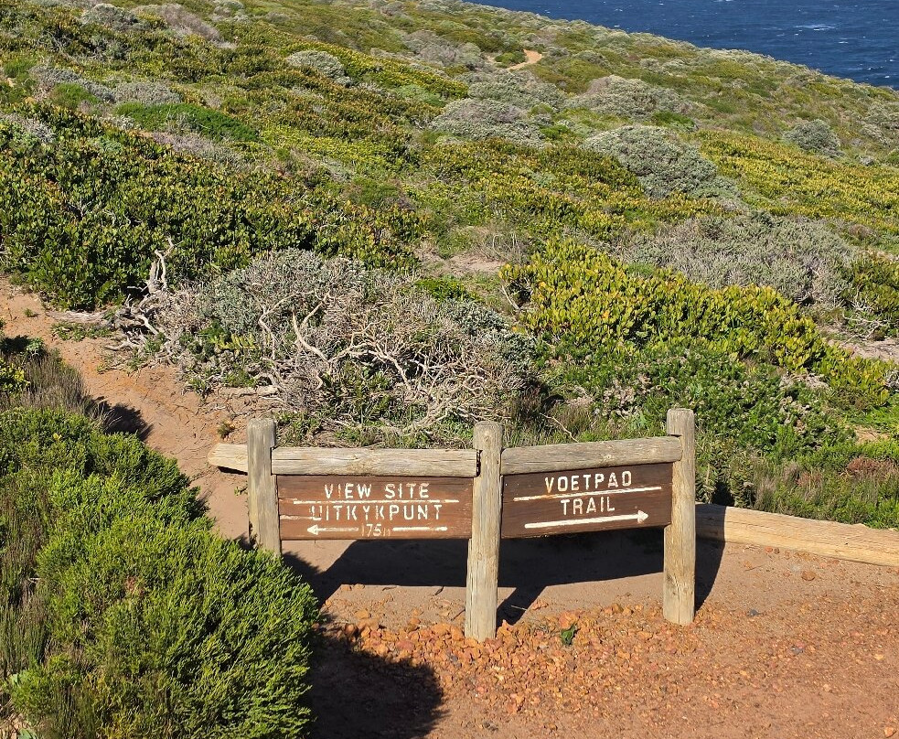 Cape of Good Hope-桌山国家公园必去景点