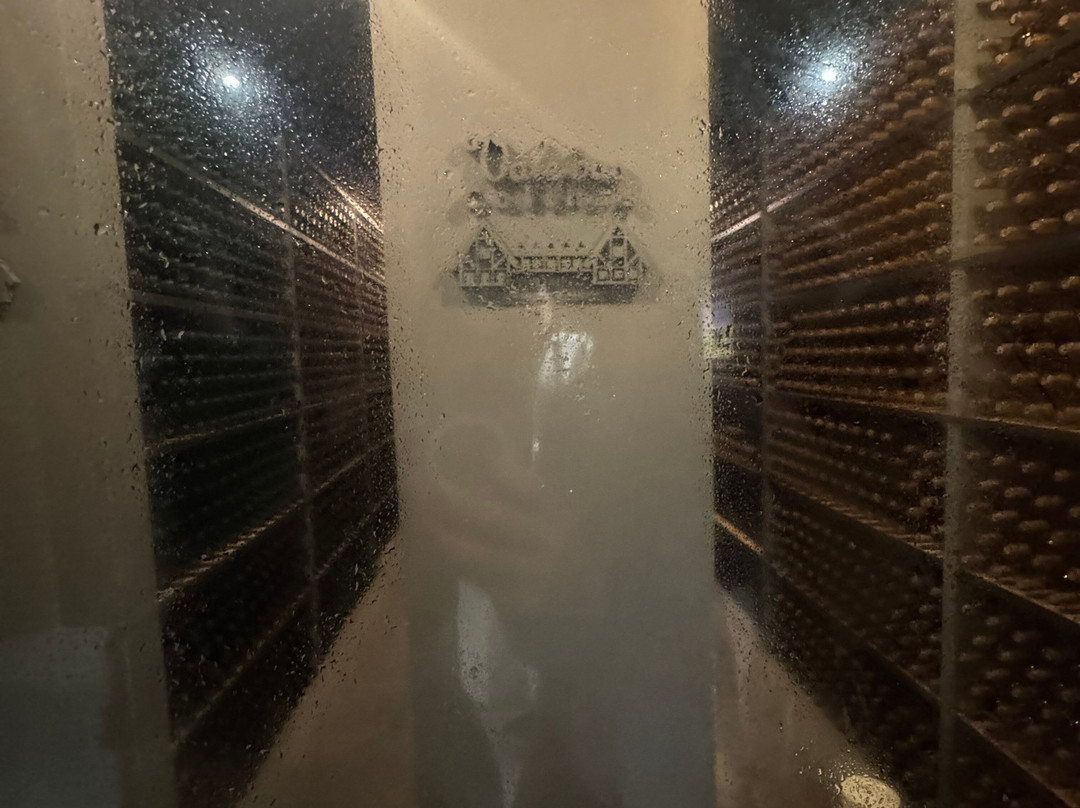 Vinícola Vale Das Colinas-Garanhuns必去景点