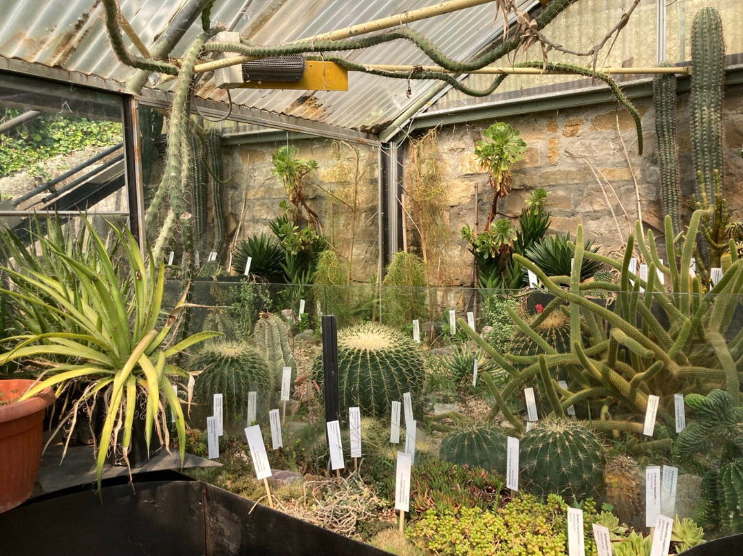 Orto Botanico di Bergamo Lorenzo Rota-贝加莫必去景点