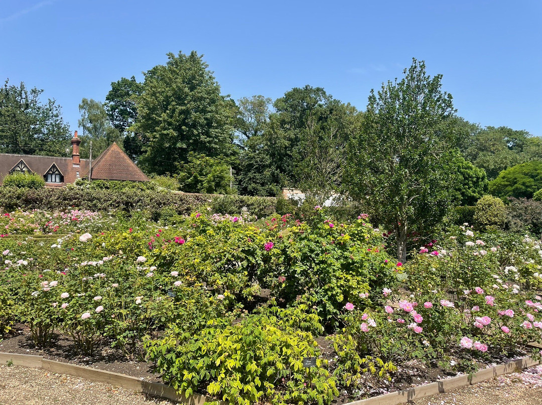 Loseley Park-吉尔福德必去景点