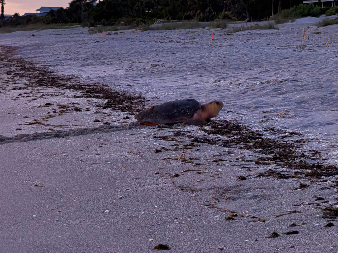 珍珠海滩旅馆主图