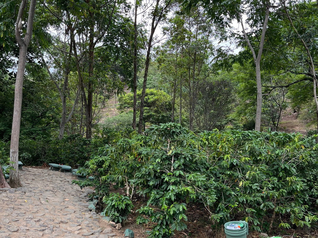 Hacienda La Chimba-圣安娜必去景点