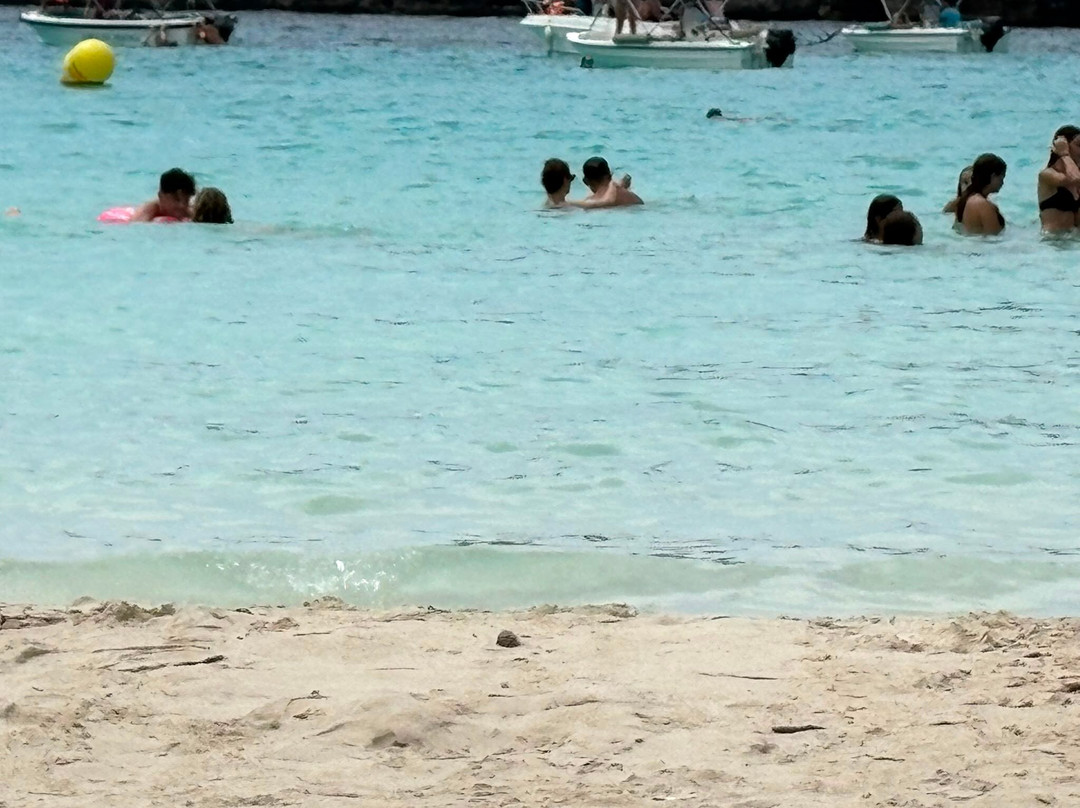 Cala Blanca Beach-卡拉布兰卡必去景点