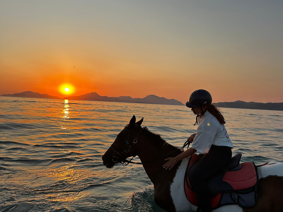 Erika's Horse Farm Kos-Marmari必去景点