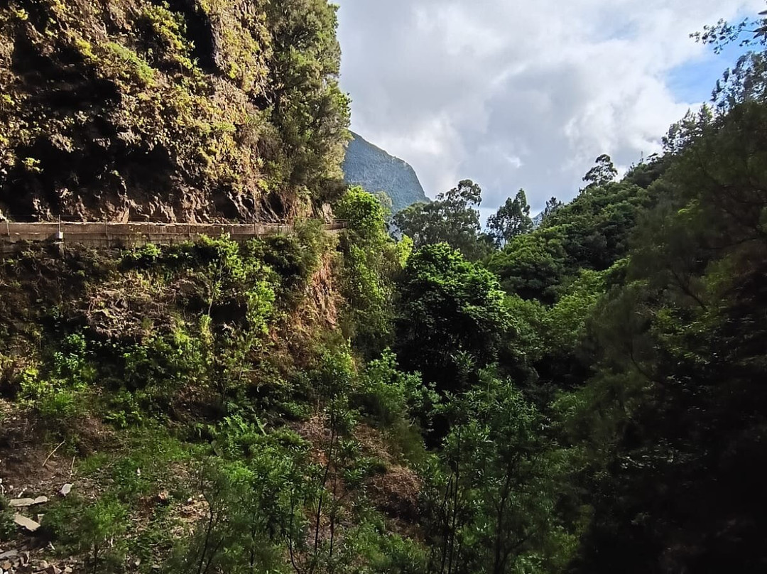 PR16 Levada Fajã do Rodrigues-Sao Vicente必去景点