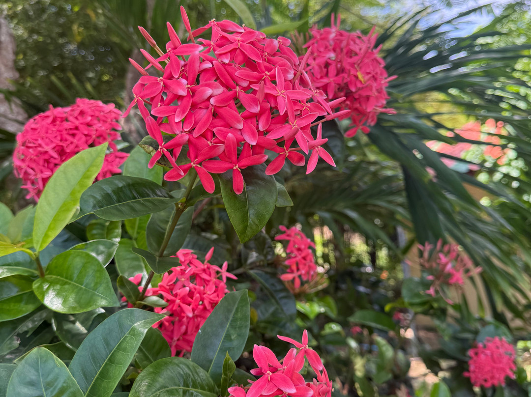 Phuket Cheap Tour-普吉岛必去景点