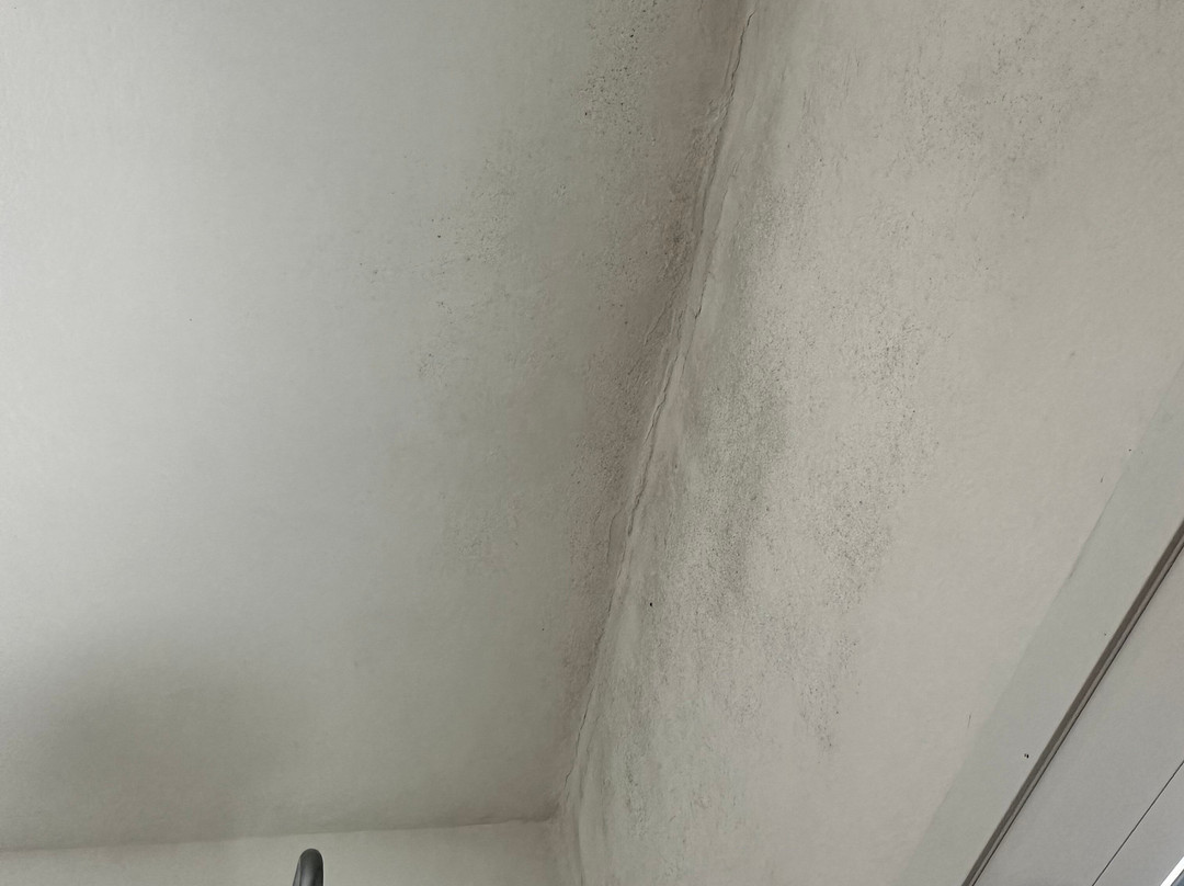 Nissaki Sunflower Luxury Apartment主图