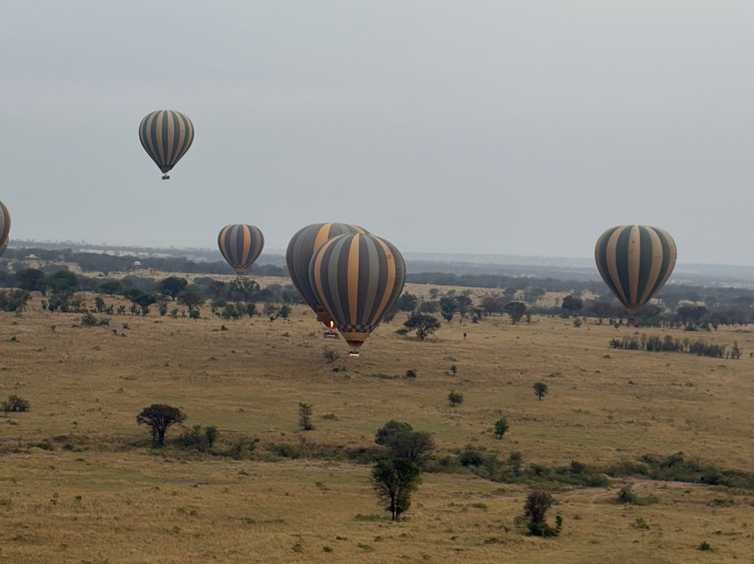 Serengeti Balloon Safaris-塞伦盖蒂国家公园必去景点