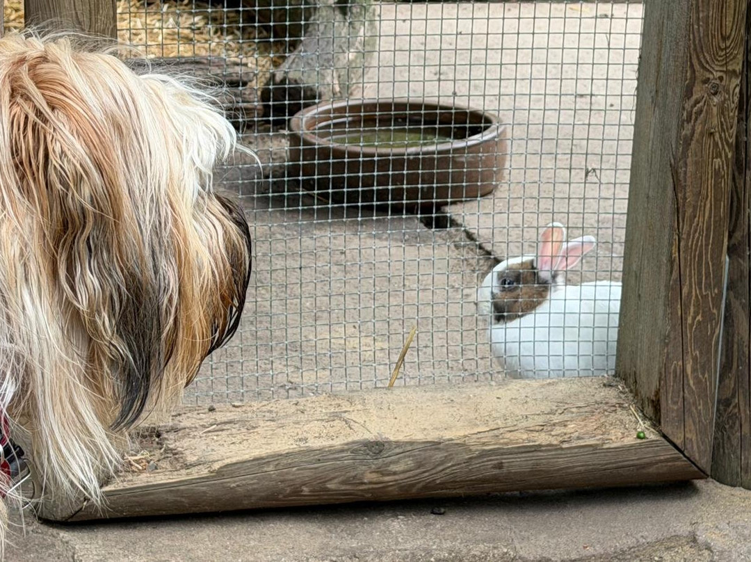 Tierpark Ströhen - Der Entdeckerzoo-Strohen必去景点