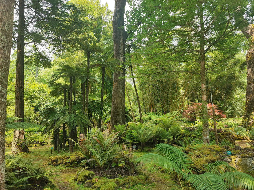 Parque Terra Nostra-富尔纳斯必去景点