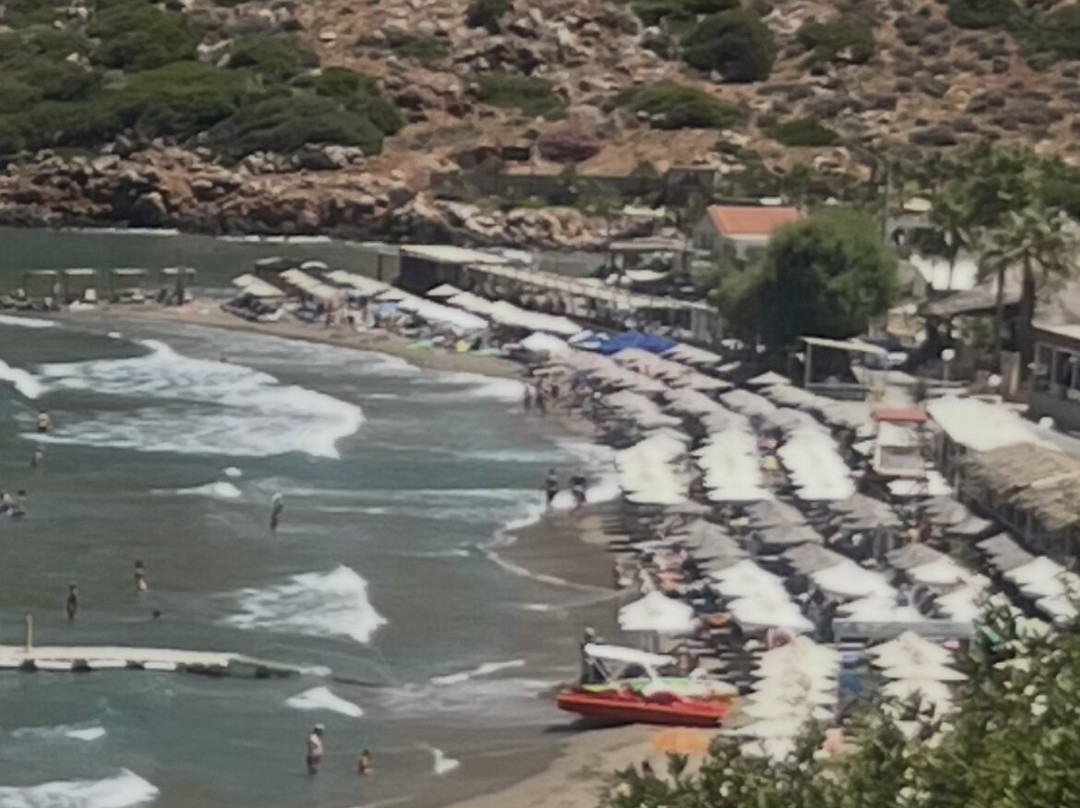 Finikas Beach (Palm Beach)-Plakias必去景点