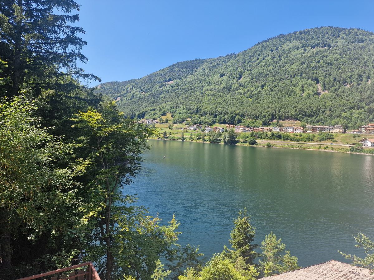 Active Hotel Pineta & Camping-旅行者